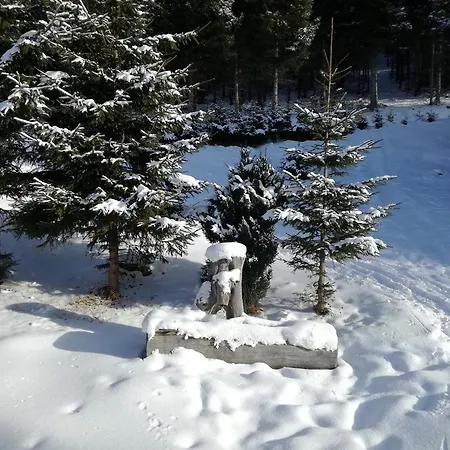 Haus Gastl Appartamento Arzl im Pitztal